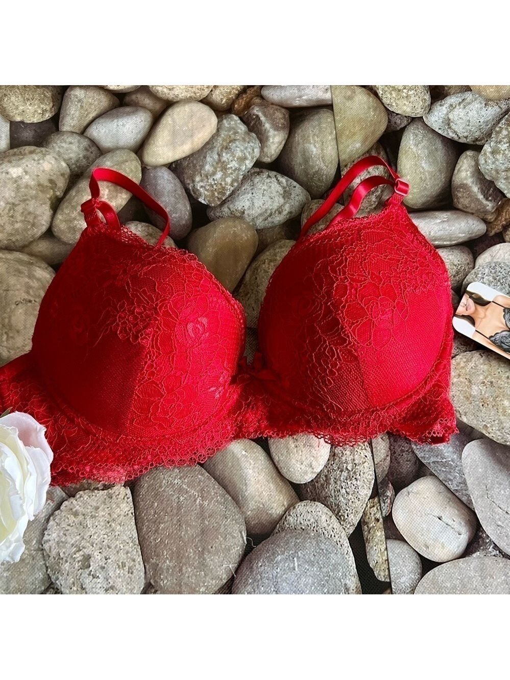 NWT RED LACE BRA-34C